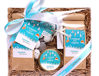 ЛК «Сименс Финанс»